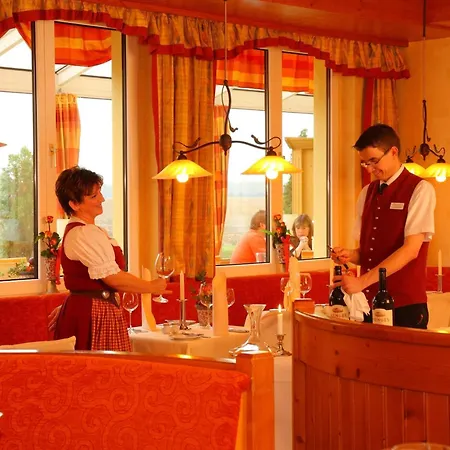 Hotel Ringhotel Zum Stein 4*