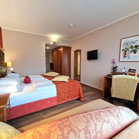 Zum Stein Wellness & Genuss Hotel 4*