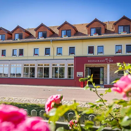 Zum Stein Wellness & Genuss Ξενοδοχείο Oranienbaum-Woerlitz