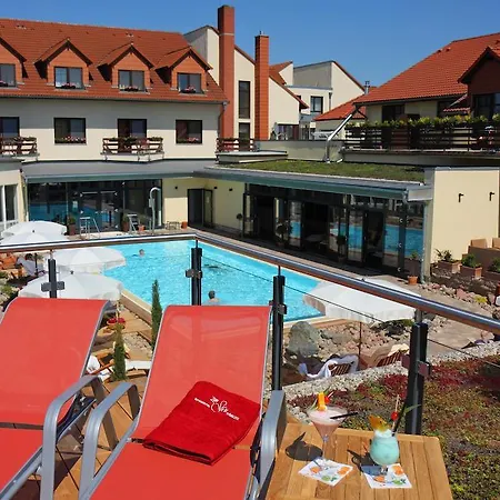 Zum Stein Wellness & Genuss فندق Oranienbaum-Woerlitz