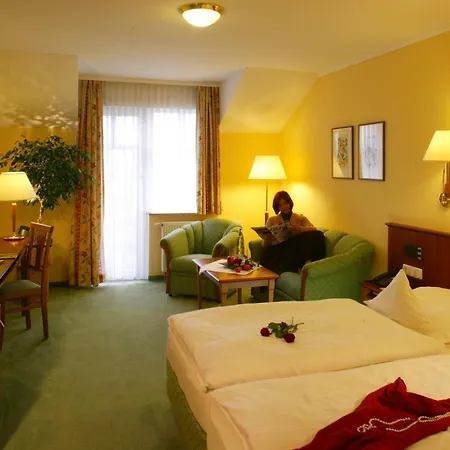 Hotel Ringhotel Zum Stein 4*