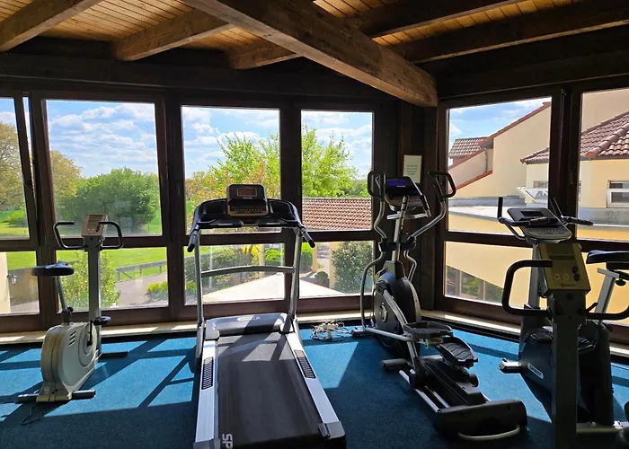 Zum Stein Wellness & Genuss Hotel 4*