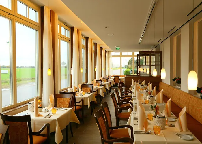 Zum Stein Wellness & Genuss Отель Ораниенбаум-Вёрлиц