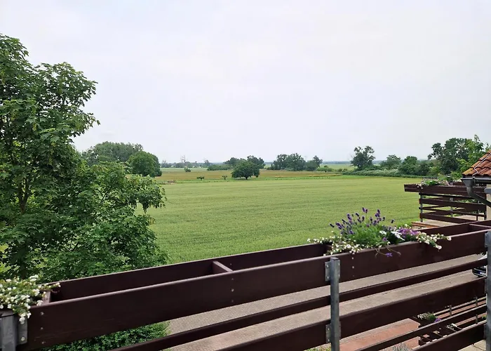 Hotel Zum Stein Wellness & Genuss Oranienbaum-Woerlitz