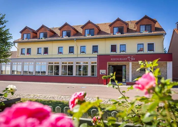 Zum Stein Wellness & Genuss Отель Ораниенбаум-Вёрлиц